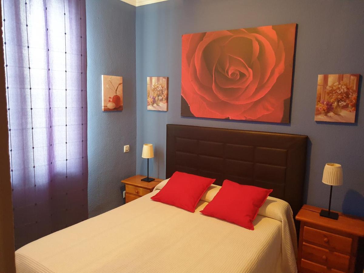 Apartament Dana Sol